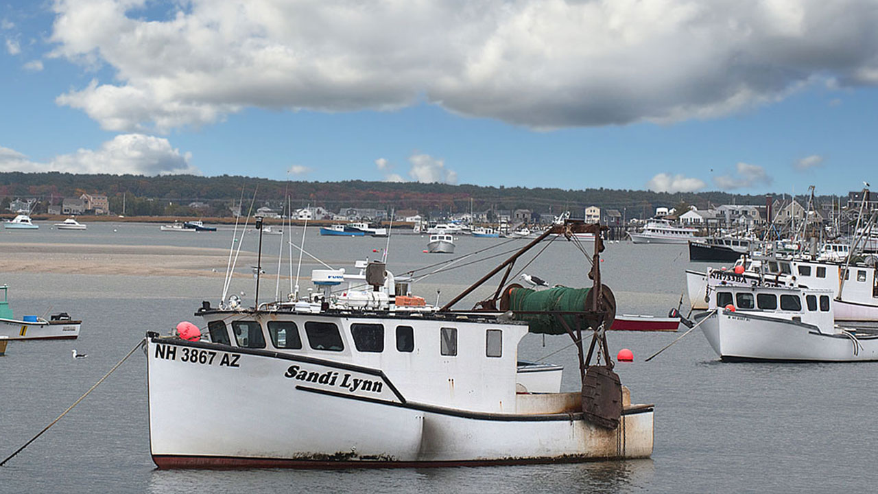 Saving New England Fisheries