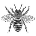 bee